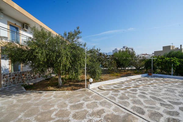 Stone-paved courtyard and olive trees in the garden of Paraschos Studios